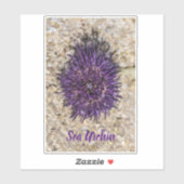 Sticker Sea Urchin Ocean Beach Vacances Souvenir d'été (Feuille)
