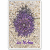 Sticker Sea Urchin Ocean Beach Vacances Souvenir d'été (Devant)