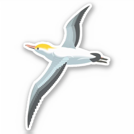 Sticker Seagull (Devant)