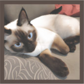 Sticker Seal Point Siamese Portrait numérique (Devant)