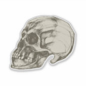 Sticker Séance de crâne pour Halloween (Devant)