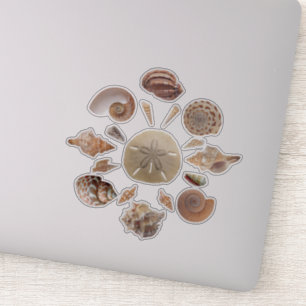 Sticker Seashells Collection Mandala