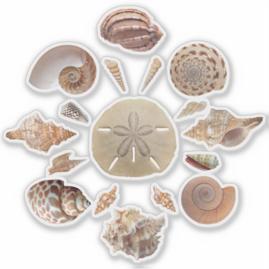 Sticker Seashells Collection Mandala (Devant)
