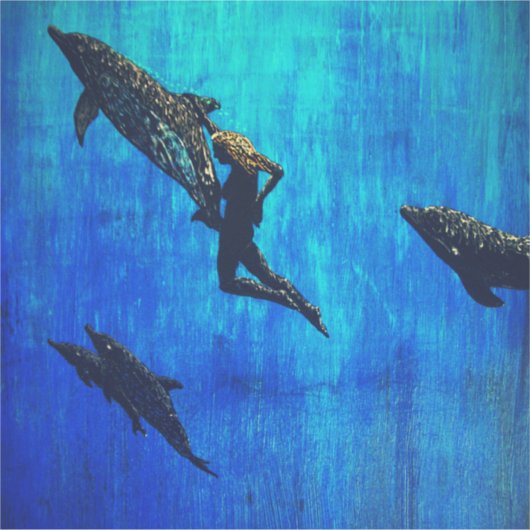 Sticker Secourir les dauphins (Devant)