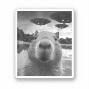 Sticker Selfie de Capybara Graphique drôle avec OVNI bizar