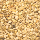 Sticker Semences de sésame (Devant)