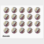 Sticker Sheltie (Feuille)