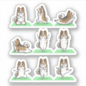 Sticker Shetland Sheepdog Sheltie Chien Yoga Pose Exercice (Devant)