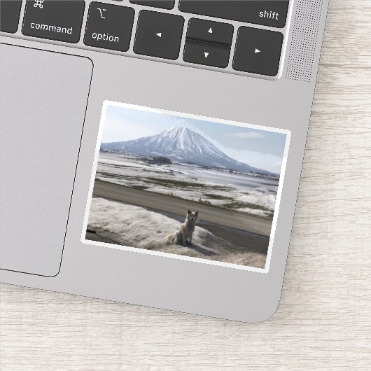 Sticker Shiba Inu (Détail)