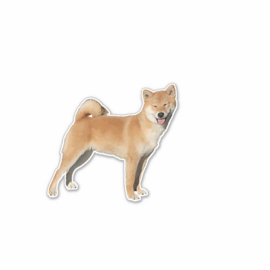 Sticker Shiba Inu Smile (Devant)