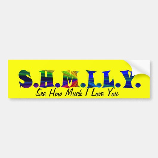 Sticker SHMILY Bumper (Devant)