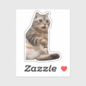 Sticker Shocked Chat Meme (Feuille)