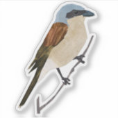 Sticker Shrike (Devant)