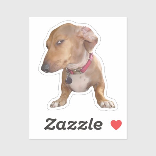Sticker Side Eye Dog Meme (Feuille)