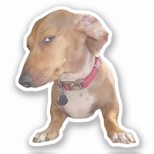 Sticker Side Eye Dog Meme (Recto)