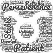 Sticker SIGNE Zodiaque Taurus noir (Devant)