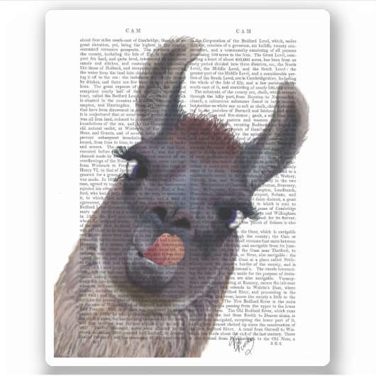 Sticker Silly Llama (Devant)