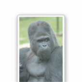 Sticker Silverback Dishi (Recto)