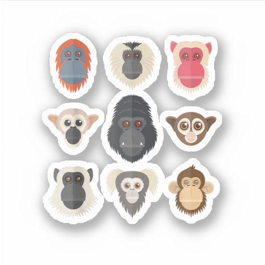 Sticker Singe Chimpanzé Gorille Singe Araignée Écureuil M (Devant)