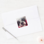 Sticker Sleeping Boston Terrier (Enveloppe)