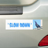 Sticker Slow Down pour pare-chocs (En voiture)