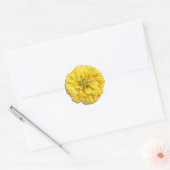 Sticker - Snoep Stripe Zinnia (Envelop)