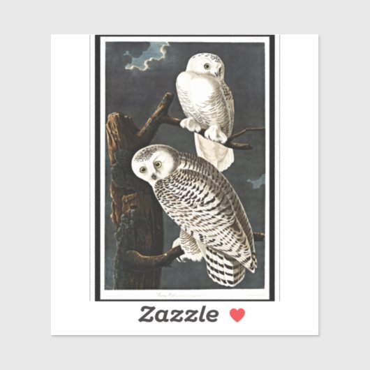 Sticker Snowy Owl par John James Audubon (Feuille)