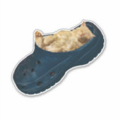 Sticker "Snug as a Bug : The Kitten's Croc Nap" (Devant)