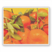 Sticker Soft Orange Fruit Aesthétique (Devant)