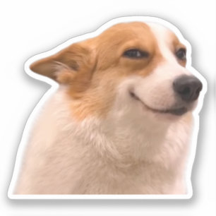 Sticker souriant Corgi mème