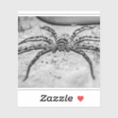 Sticker Spider Huntsman (Feuille)