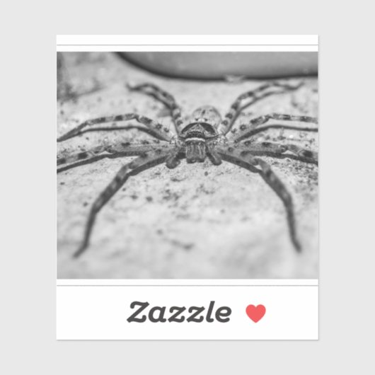 Sticker Spider Huntsman (Feuille)