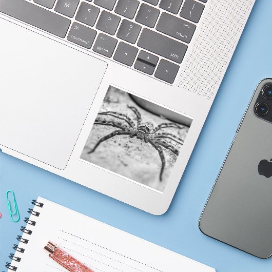 Sticker Spider Huntsman (Ordinateur portable avec iPhone)