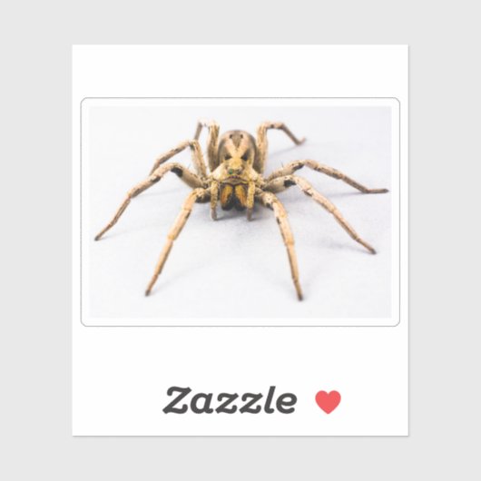 Sticker Spider Sense (Feuille)