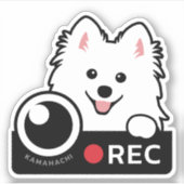 Sticker Spitz Dog Dashcam de sécurité Caméra Avertissement (Devant)