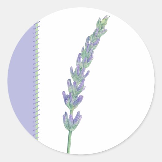 Sticker Sprig Lavender (Devant)