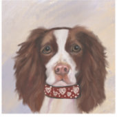 STICKER SPRINGER SPANIEL ANGLAIS     (Recto)