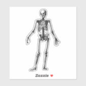 Sticker Squelette (Feuille)