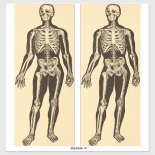 Sticker squelette vintage illustration âge blanc