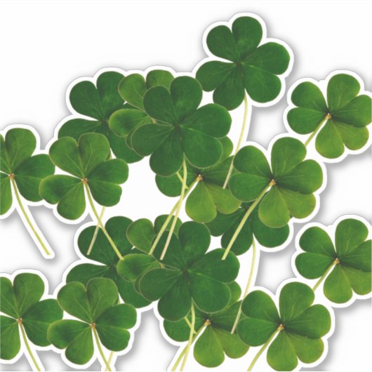 Sticker St Patrick's Day Party Shamrock Leaf Green 2020 (Devant)