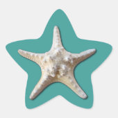 Sticker Starfish (Devant)