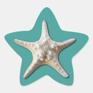 Sticker Starfish