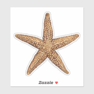 Sticker Starfish - Sea Star