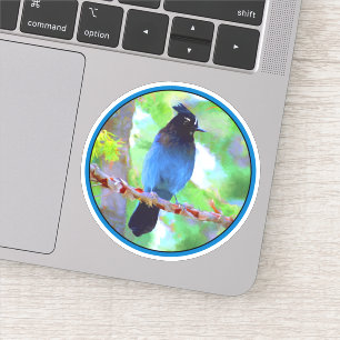 Sticker Steller's Jay Painting - Art d'Oiseau sauvage orig