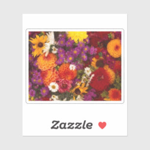 Sticker Stickera Vinyle Coupé Sur Mesure