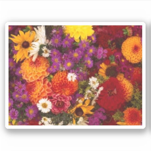 Sticker Stickera Vinyle Coupé Sur Mesure (Devant)