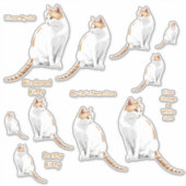 Sticker Stickset Lg Chats Orange et Blanc (Devant)