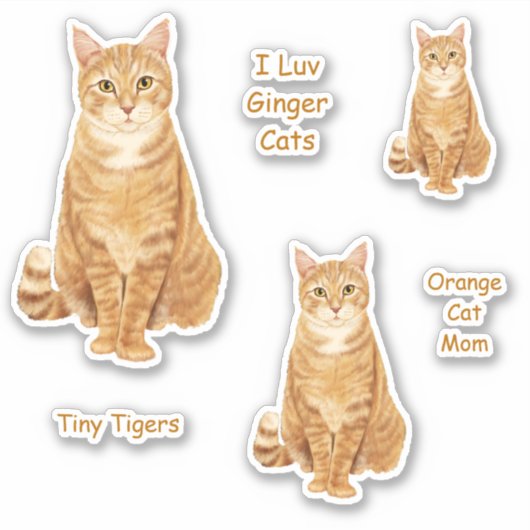 Sticker Sticleur en chat Tabby orange (Devant)