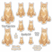 Sticker Sticleur Lg Tabby Chat Orange (Devant)