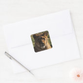 Sticker Stoere Leeuw - Animprint / Wildlife Desi (Enveloppe)